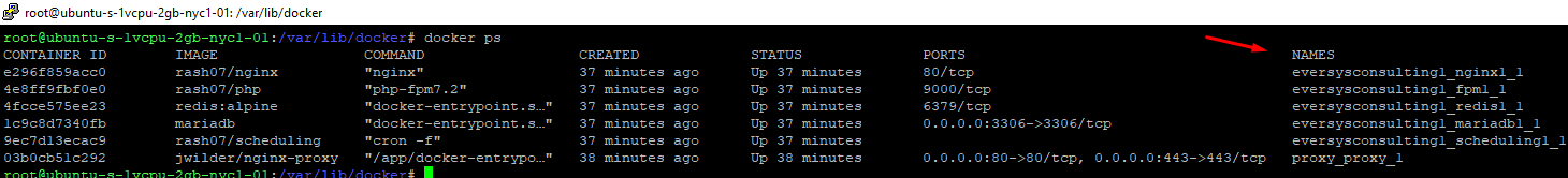Contenedores activos